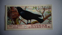 BRITISH BIRDS N° 37 RAVEN  Oiseau Bird  Cigarettes OGDEN'S Tobacco Vignette Trading Card Chromo - Ogden's