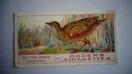 BRITISH BIRDS N° 40 CORNCRAKE Oiseau Bird  Cigarettes OGDEN'S Tobacco Vignette Trading Card Chromo - Ogden's