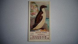BRITISH BIRDS N° 48 RAZORBILL Oiseau Bird  Cigarettes OGDEN'S Tobacco Vignette Trading Card Chromo - Ogden's