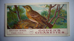 BRITISH BIRDS N° 49 TREE PIPIT Oiseau Bird  Cigarettes OGDEN'S Tobacco Vignette Trading Card Chromo - Ogden's