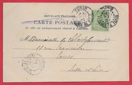 -- REGENCE DE TUNIS TIMBRE 5c / CàD TUNIS  REGENCE DE TUNIS / Sur Carte Postale à DESTINATION DE LA FRANCE TOURS ( I&L) - Lettres & Documents