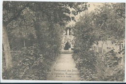 Rupelmonde - Pensionnat Des Soeurs De La Visitation - Allée De La Grotte - Kruibeke