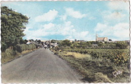 44. Pf. BOURGNEUF-EN-RETZ. Route De Pornic. Vue Générale. 1 - Bourgneuf-en-Retz