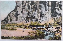 Wasserstelle Anicha  Vogelkranz Deutsch Südwest Afrika Ca.1910y.   E852 - Namibië