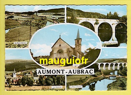 48 LOZÈRE / AUMONT AUBRAC / DIFFERENTS ASPECTS DE LA COMMUNE / CARTE MULTIVUES / 1966 - Aumont Aubrac