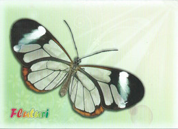Papillon - Butterfly - Fluturi - Greta Oto - Papillons
