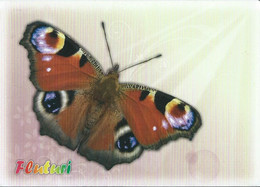 Papillon - Butterfly - Fluturi - Inachis Io - Papillons