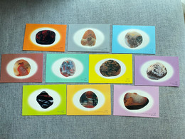 Lot Of 10, Rain Flower Pebbles, Stones Fossils Minerals, Chine China Postcard - Mines