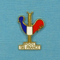 1 PIN'S //  ** POOL SKI FRANCE / PARTENAIRES DE LA F.F.S. FÉDÉRATION FRANÇAISE DE SKI ** - Sports D'hiver