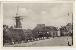 Hattem, Molen 'De Fortuin' -  (Gelderland, Nederland/Holland) - Moulin/Mühle/Mill/Molen - Hattem