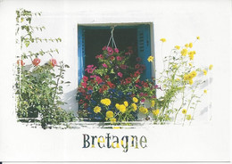 CPM  France    29 Finistère   Plomodierrn  La Bretagne En Couleur Beau Décor Fleuri Oblitérée Le 14-9-1998 - Plomodiern