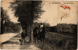 CPA Le PERRAY - Cote De Lartoire (165604) - Le Perray En Yvelines