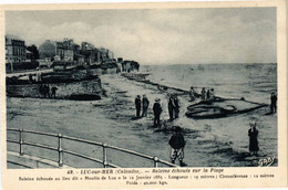 CPA LUC-sur-MER - Baleine Echouee Sur La Plage (271706) - Luc Sur Mer