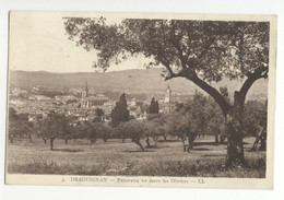 83/CPA - Draguignan - Panorama Vu Entre Les Oliviers - Draguignan