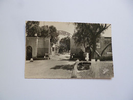 Delcampe - COLOMB BECHAR  -  Hôpital Militaire     -  ALGERIE - Bechar (Colomb Béchar)