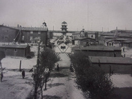 ♥️ ♥️  CROSSEN KRIEGSGEFANGENENLAGER EDIT EMIL KOCH  Camp Prisonniers - Weltkrieg 1914-18