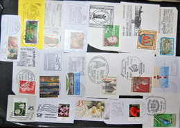 Timbres Sur Fragments - 18 Stamps Austria / Germany  On Piece Of Paper With Nice Cancellation - Lots & Kiloware (max. 999 Stück)