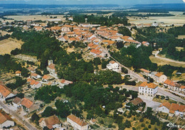 MONTIGNY LE ROI VUE GENERALE AERIENNE - Montigny Le Roi