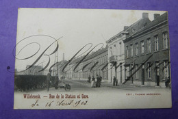 Willebroek Stationstraat En Station Gare -1902 - Willebrök