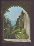 SUISSE VUE DEPUIS L ENTREE DU CHATEAU DE CHATEL SAINT DENIS - Châtel-Saint-Denis