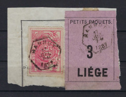 SP 11 / TR 11 Fragment Met Etiquette PETITS PAQUETS : Nr. 3 HEXAGONALE Stempel HANNUT > LIEGE ! LOT 269 - Documenten & Fragmenten