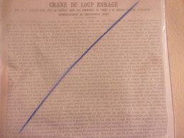 ️INDRE BERRY Rare Document D Epoque 1878 Rollinat Foulatiere CRANE DU LOUP ENRAGE 1878 TERREUR A TENDU  MOSNAY ️ - Documenti Storici