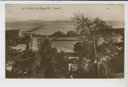 ROYAUME UNI - SCOTLAND - DUNDEE - Tay Bridge From Balgay Hill - Angus