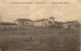 - Dpts Div. -ref-BF904- Ain - Montluel -institution Saint Michel - La Saulsaie - Institutions - Ecoles - - Montluel