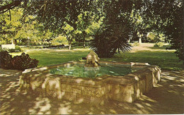 San Antonio - Texas - Memorial Fountain - Alamo Garden - San Antonio