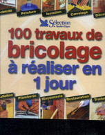 100 Travaux De Bricolage A Realiser En 1 Jour - Electricite, Peinture, Isolation, Carrelage, Decoration, Installation, P - Bricolage / Technique