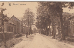 Hamont St-Jan Berchmans Gasthuis Met Boschstraat - Hamont-Achel