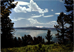 Yellowstone National Park Yellowstone Lake - USA Nationale Parken