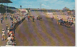 CALGARY  (  ALBERTA   )  THE  FAMOUS  " CHUCK  WAGON  RACES  "  &  EXHIBITIONS  -C  P  A ( 22 / 11 / 41  ) - Calgary