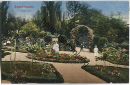 Sangerhausen - Rosarium - Verlag Ottmar Zieher München - Sangerhausen