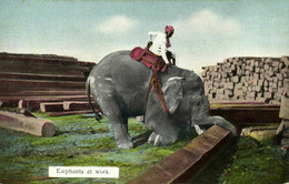 Burma, Elephants At Work (1910s) D.A. Ahuja Postcard No. 11 - Myanmar (Burma)