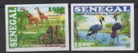 Sénégal 2015 IMPERF Non Dentelé Faune Menacée Threatened Fauna éléphants Girafes Birds Oiseaux Elephants Giraffe - Sénégal (1960-...)