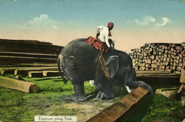 Burma, Elephant Piling Teak (1910s) D.A. Ahuja Postcard No. 111 - Myanmar (Burma)