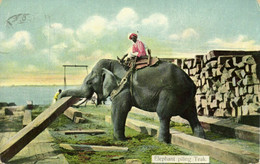 Burma, Elephant Piling Teak (1913) D.A. Ahuja Postcard No. 112 - Myanmar (Burma)