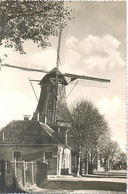Hollands Molenlandschap (Hoogeveen Volgens Aantekening Op De Adreszijde)  (ml 34) - Hoogeveen