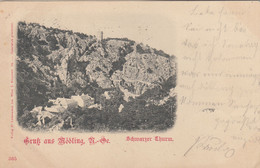 B9644) GRUSS Aus MÖDLING - NÖ - Schwarzer Thurm 5.8.1901 !! - Mödling