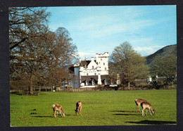 Ecosse - Deer In The Grounds Of Blair Castle ( Arthur Dixon N° 23499 ) Cerfs, Biches, Chevreuils - Perthshire