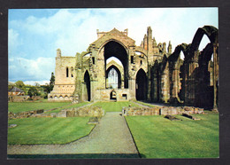 Ecosse - 3 - Melrose Abbey - The Ruined Nave With Great East Window In The Background (ruines De L'abbaye) - Roxburghshire