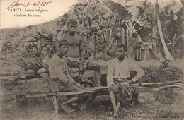 CPA TAHITI - Jeunes Indigenes Recoltant Des Cocos - Brouette - Dos Simple - Tahiti