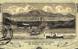 1925 SALIN ACTION SALINS DU CAP VERT Saline De Pedra De Lume Ile De Sal Siège Bordeaux V.SCANS - Agriculture