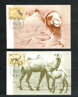 Chine China 1993-3 ** Cartes Maximum Wild Camel - Chameau Sauvage - Cartes-maximum