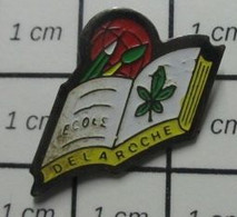 512i Pin's Pins / Beau Et Rare / ADMINISTRATIONS / ECOLE DE LA ROCHE LIVRE CRAYON PINCEAU BALLON - Administrations