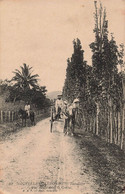 CPA NOUVELLE CALEDONIE - Témala - Une Route Dans Le Centre - Femme Et Enfants Dans Une Charette - Homme Sur Un Ane - Nieuw-Caledonië