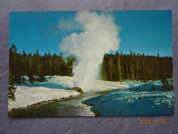 RIVERSIDE GEYSER  YELLOWSTONE NATIONAL PARK - Yellowstone