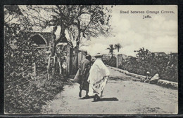 Jaffa - Road Between Orange Groves Palestine Photo Postcard Printed In England - Palestine