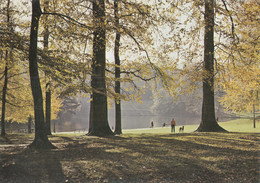 BRUXELLES : Bois De La Cambre - BRUSSEL : Terkamerenbos - Bossen, Parken, Tuinen